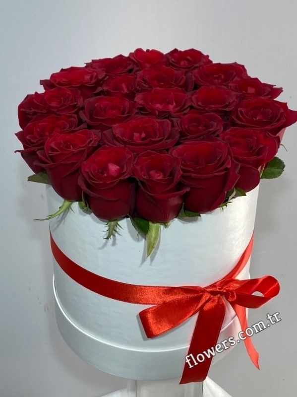 Elegant 21 Red Rose Box