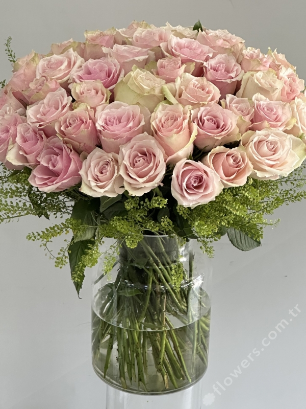 Grand Light Pink Roses