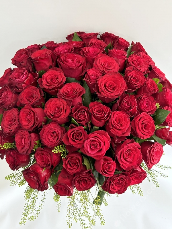 Grand Red Roses