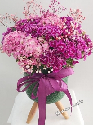 Sweet William Flowers In Vase