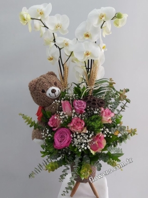 Orchids & Roses & Teddy Arrangement