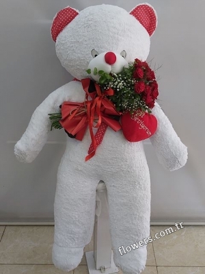 Giant Teddy Bear Plush & Roses