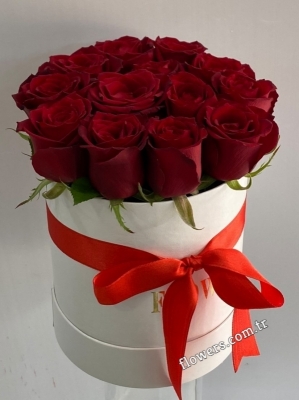 Red Roses In White Box