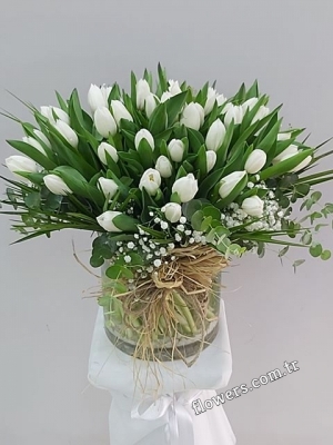 50 White Tulips Vase Arrangement