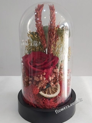 Unfading Red Rose In Decorative Glass Fanus