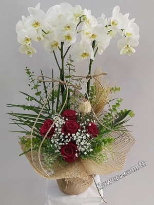 2 Stem White Orchids & Lovely Roses