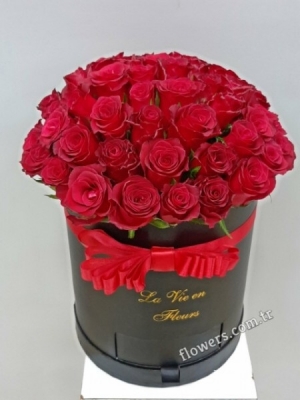 Ravishing 51 Red Roses