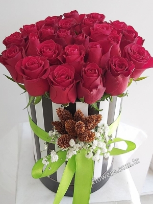 Brilliant 21 Red Roses In Box