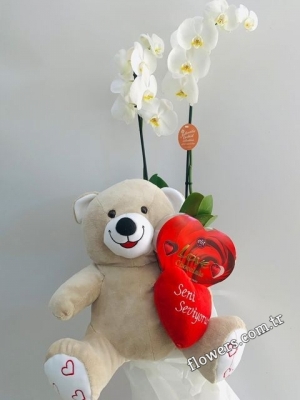 Orchid & Teddy Bear & Chocolate Combo