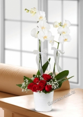 Alluring Orchid & Rose Arrangement