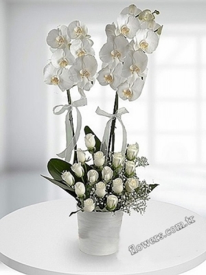 White Orchid and Rose Arrangement