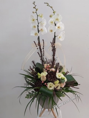 Orchid Boutique Flower Design