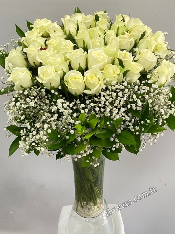 41 White Roses In A Vase