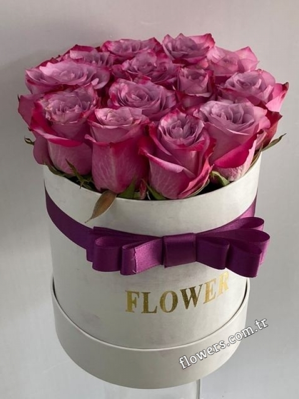 Purple Roses In Box