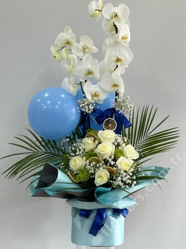 Japanese Ceramic Ikebana Flower Vase Flower Arranging Supplies,Flower  Arrangement Container for Ikebana Vase & Flower Frog A10