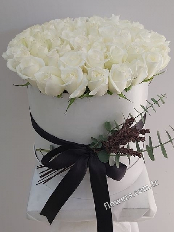 Elegant 41 White Roses In Box