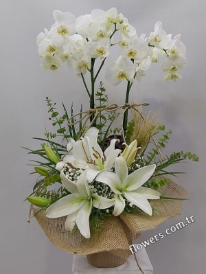 2 Stem White Orchid & Lily Arrangement