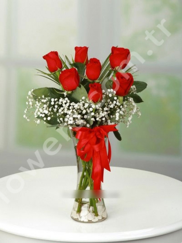 7 Roses in a Vase